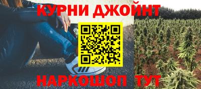прущие грибы Пугачёв