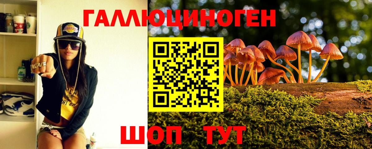 Галлюциногенные грибы прущие грибы  Галлюциногенные грибы прущие грибы  Советская Гавань  Вход с VPN 