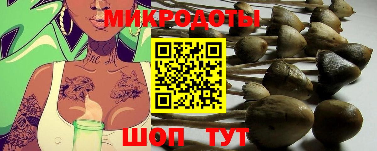 Галлюциногенные грибы Psilocybine cubensis Советская Гавань
